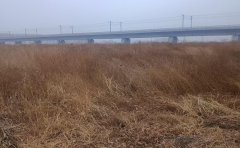 秸秆处理劳务费拖欠六年不给，德惠26个农户向社