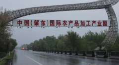 黑龙江肇东产业园里建“牛市”破坏土地10多万平米无人管