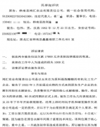 九年务工换一场“诬告”？黑龙江桦南一工人病